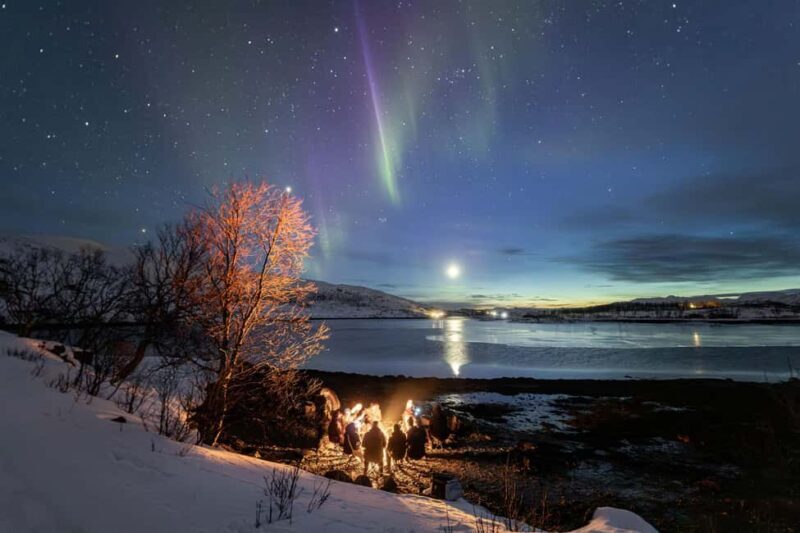 Tromsø: Northern Lights Hunt with Photos and Hot Food - The Value for Money