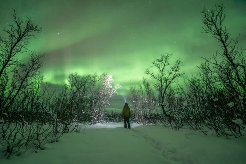 Tromsø: Northern Lights Hunt with Photos and Hot Food - Who Is This Tour Best For?