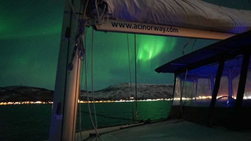 Tromsø: Northern Lights Luxury Catamaran Cruise - Key Points