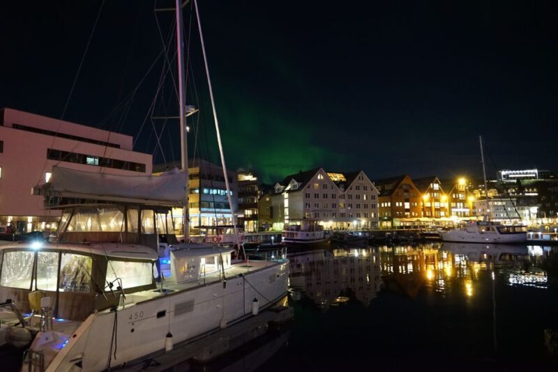 Tromsø: Northern Lights Luxury Catamaran Cruise - Who Would Love This Tour?