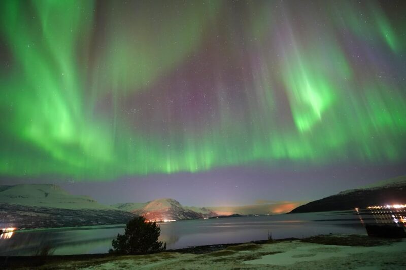 Tromso: Northern Lights Minibus Tour with Campfire - Key Points
