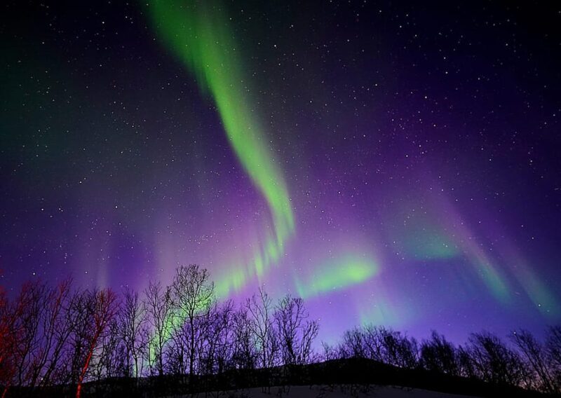 Tromso: Northern Lights Minibus Tour with Campfire - Who Should Consider This Tour?