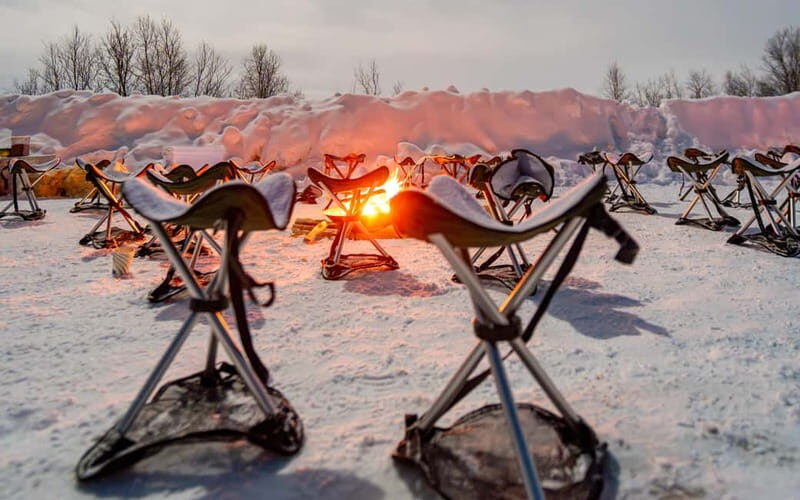 Tromsø: Northern Lights Safari with Expert Guides and Photos - Key Points