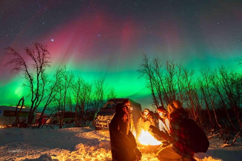 Tromsø: Northern Lights Safari with Expert Guides and Photos - Suitable for Whom?