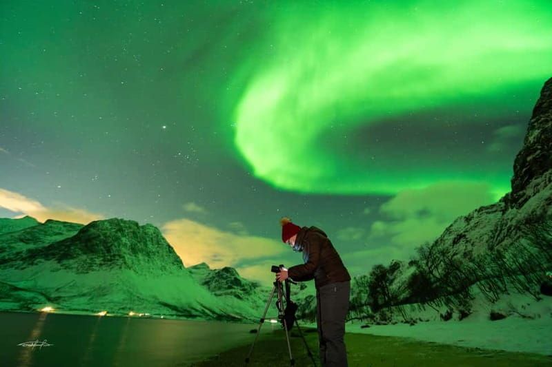 Tromsø: Northern Lights Safari with Expert Guides and Photos - What Happens When the Lights Show Up