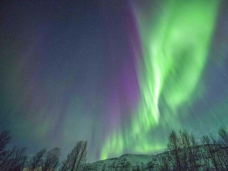 Tromsø: Northern Lights Tour in Glass Minibus with Dinner - Key Points
