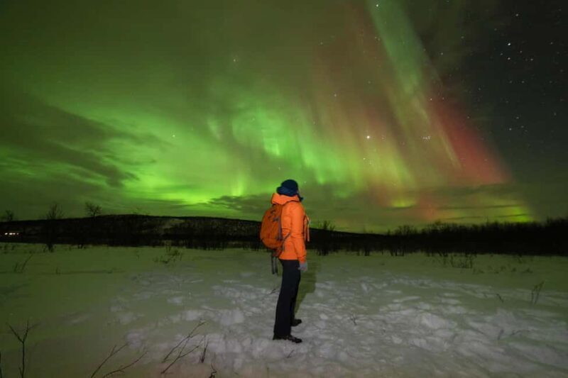 Tromsø: Northern Lights tour, local experts, free photos - Summary of the Pros and Cons