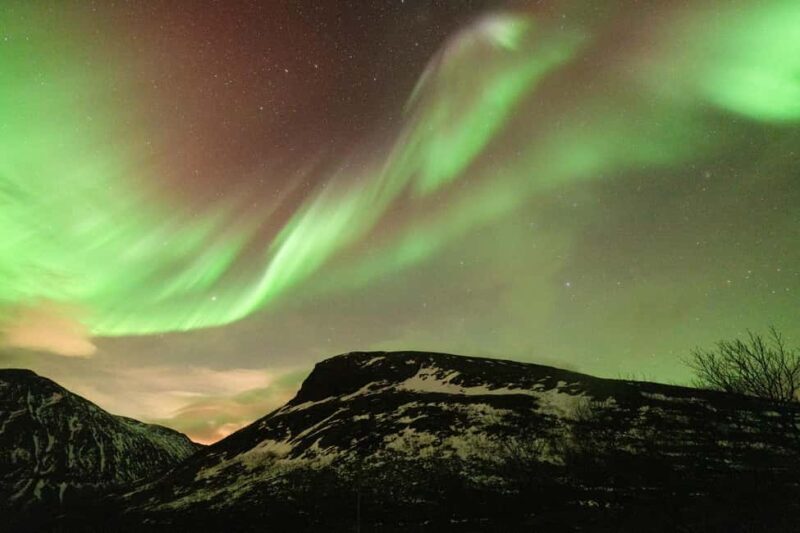 Tromsø: Northern Lights tour, local experts, free photos - Final Thoughts