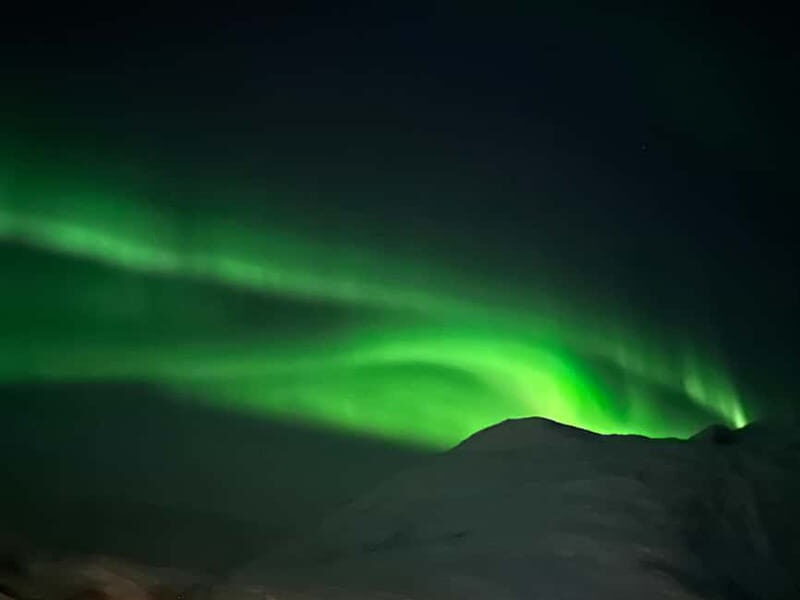Tromsø: Northern Lights Tour - What Past Travelers Say