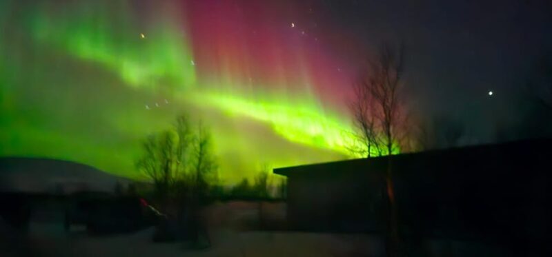 Tromsø: Northern Lights Tour with Campfire - Key Points