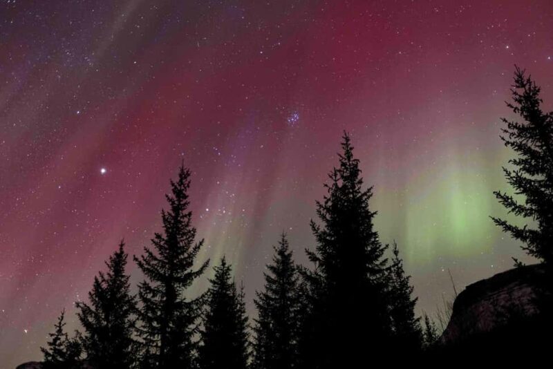 Tromsø: Northern Lights Tour with Dinner and Native Guide - Authenticity and Value