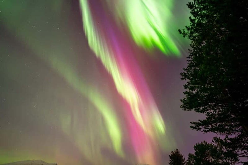 Tromsø: Northern Lights Tour with Hot Drinks and Snacks - Who This Tour Is Best For