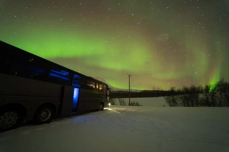 Tromsø: Northern Lights Tour with Local Stories & Photos - Final Thoughts