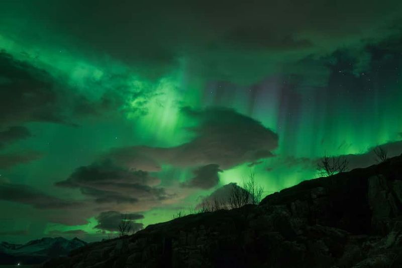 Tromsø: Northern Lights Tour with Local Stories & Photos - Tromsø Sightseeing Time: A Real Break From Standing Still