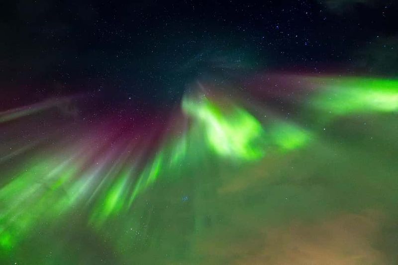 Tromsø: Northern Lights Tour with Local Stories & Photos - When the Aurora Shows Up: How the Guides Manage the Moment