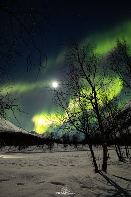 Tromso: Northern Lights Tour with Photographer - Is It Worth the Price?