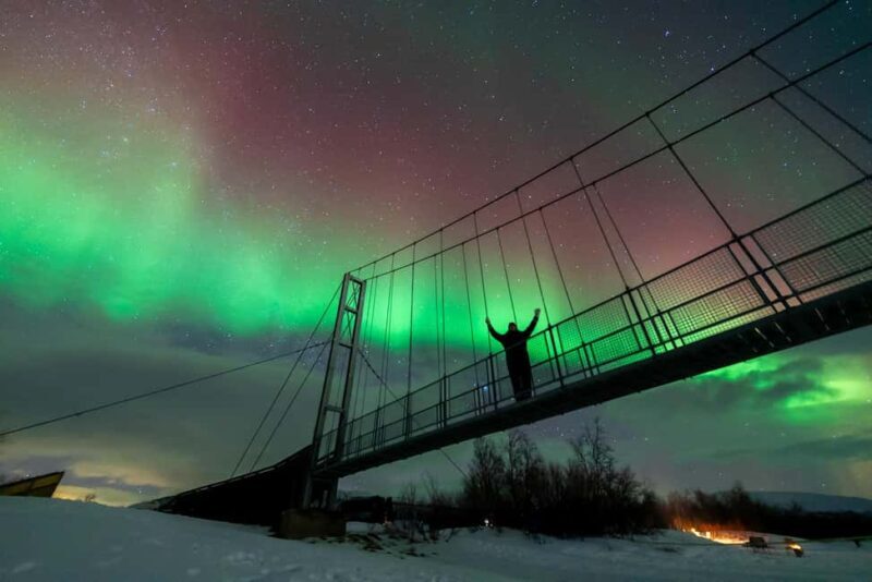 Tromsø: Northern Lights Tour with Photos, Hot Meal & Drinks - How This Tour Stands Out