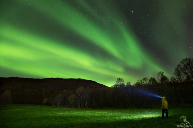 Tromsø: Northern Lights Trip with Campfire and Snacks - What Makes This Tour Stand Out?
