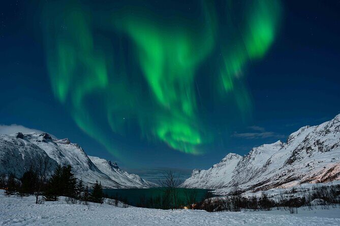 Tromsø Northern Lights with Campfire and Professional Photos - Who Should Consider This Tour?