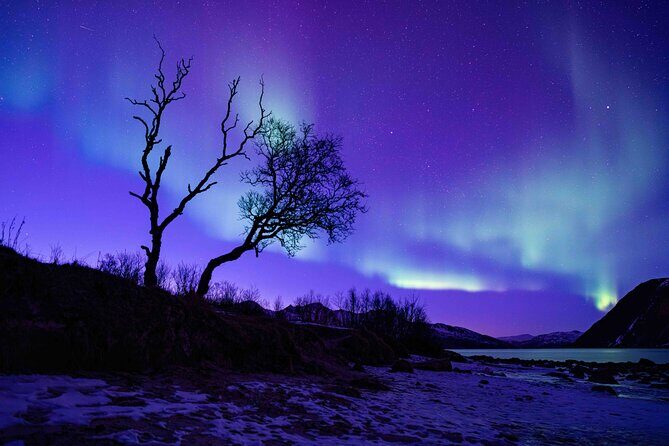 Tromsø Northern Lights with Campfire and Professional Photos - Final Thoughts