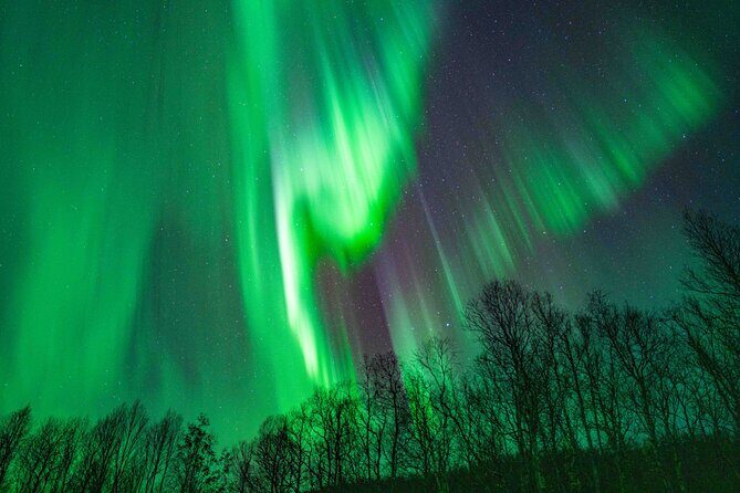 Tromsø Northern Lights with Campfire and Professional Photos - FAQs