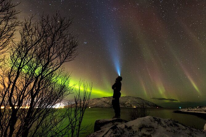 Tromsø Norway - Private northern lights tour with local guide - Who Is This Tour Best Suited For?