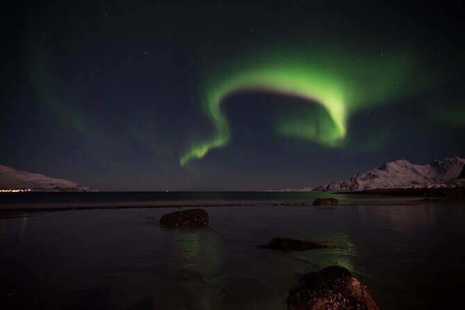 Tromsø Norway - Small Group Aurora Hunt Tour with a local guide - Who Should Book This Tour?