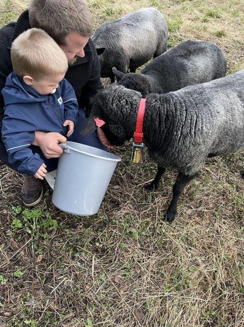 Tromsø: Norwegian farmvisit with guide - Key Points