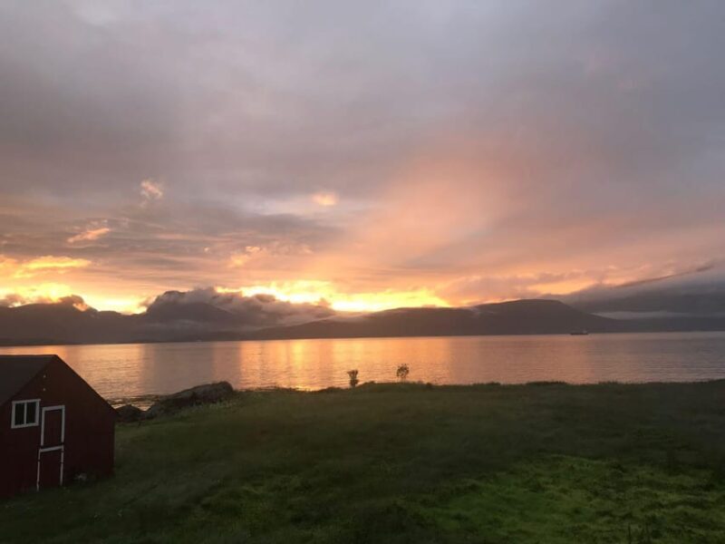 Tromsø: Norwegian farmvisit with guide - A Close Look at What You Can Expect