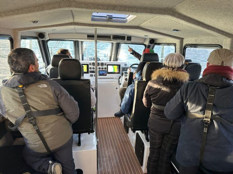 Tromsø: Orca and Whale Watching comfort heated boat Trip - Key Points