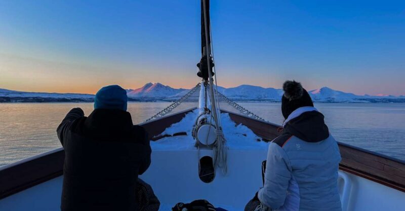 Tromsø: Polar Fjord Cruise on a Luxury Yacht with Lunch - An In-Depth Look at the Experience