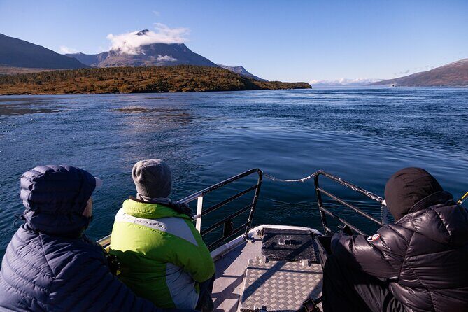 Tromsø: Polar Fjord & Fishing Cruise with Lunch included - The Final Verdict