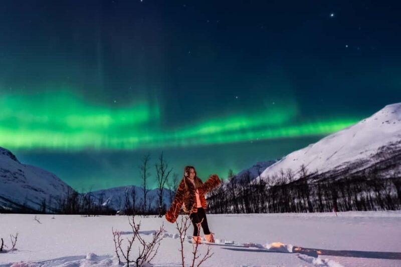 Tromsø: Premium Northern Lights Tour Small Group 8 Guests - Key Points