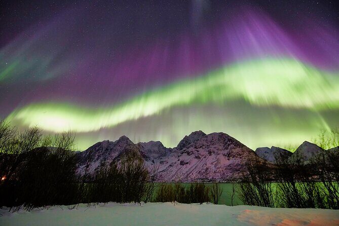 Tromso: Private Aurora Chase by Minivan - Transportation: Private Minivan
