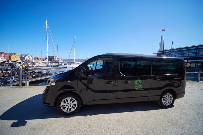 Tromso: Private Aurora Chase by Minivan - The Reality of Aurora Viewing