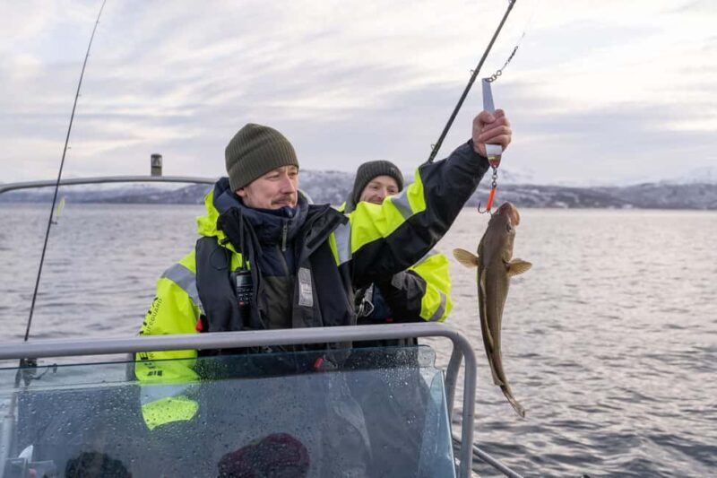 Tromsø: Private Fishing Tour - Whats Included and What to Prepare For
