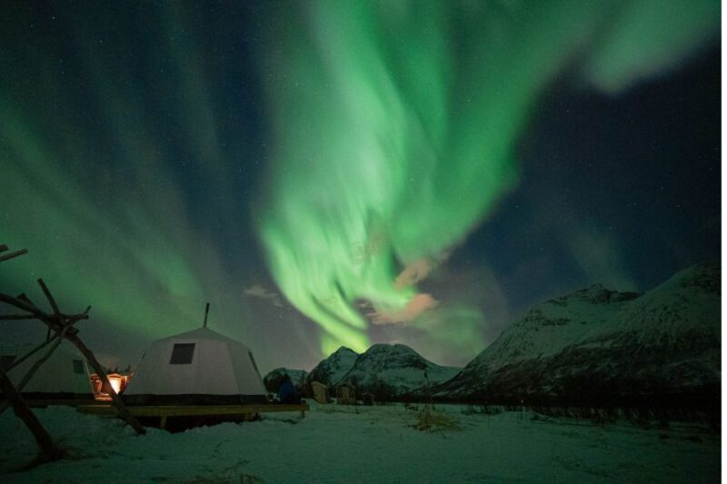 Tromsø: Reindeer Feeding & Chance of Northern Lights Viewing - What Our Guests Say