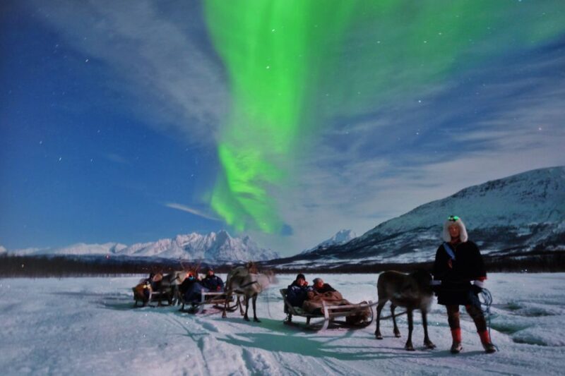 Tromso: Reindeer Sledding with Chance to See Northern Lights - Key Points