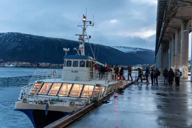 Tromsø: Responsible Whale Watching Cruise Aboard MS Alba - The Experience in Detail