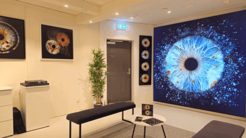 Tromsø: Reveal Your Eye Experience at the Iris Galerie - Key Points