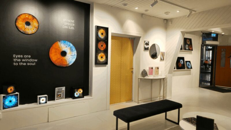 Tromsø: Reveal Your Eye Experience at the Iris Galerie - What Is the Iris Galerie Experience?