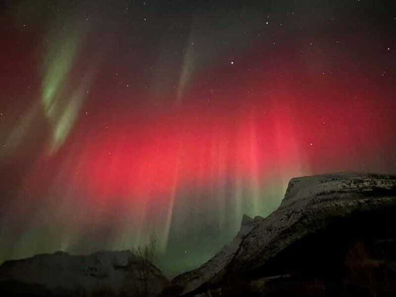 Tromsø: Sami Culture & Reindeer with Transport - The Whole Experience: What to Expect