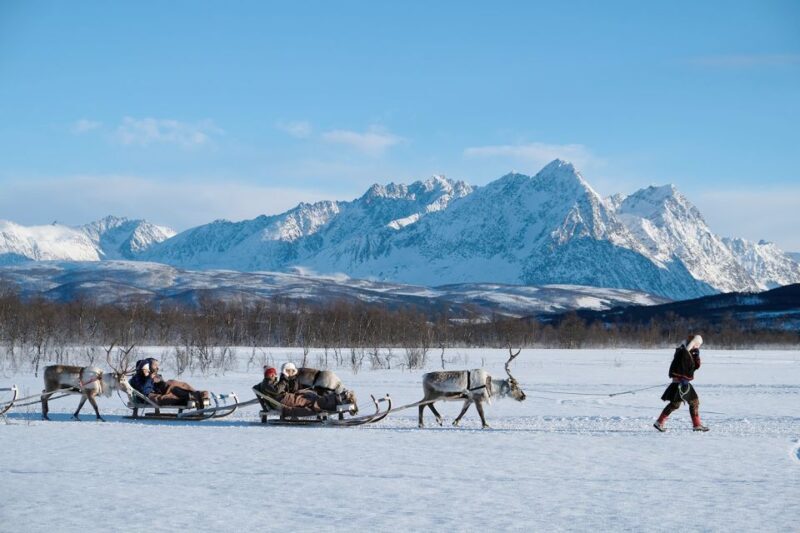 Tromsø: Sámi Reindeer Sledding and Sami Cultural Tour - Who Will Love This Tour?