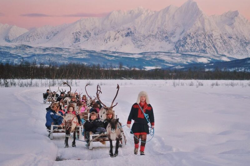 Tromsø: Sámi Reindeer Sledding and Sami Cultural Tour - Final Thoughts