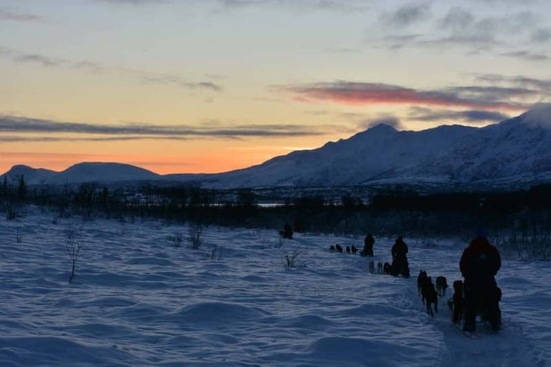 Tromsø: Self-Drive Husky Dog Sledding Adventure - The trail time: your 70–80 minutes of Arctic scenery