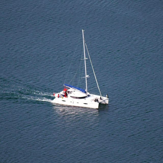 Tromso: Sightseeing Cruise by Catamaran with Snacks & Drinks - Cost and Value Considerations