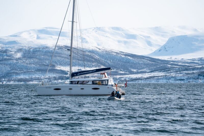 Tromso: Sightseeing Cruise by Catamaran with Snacks & Drinks - FAQs