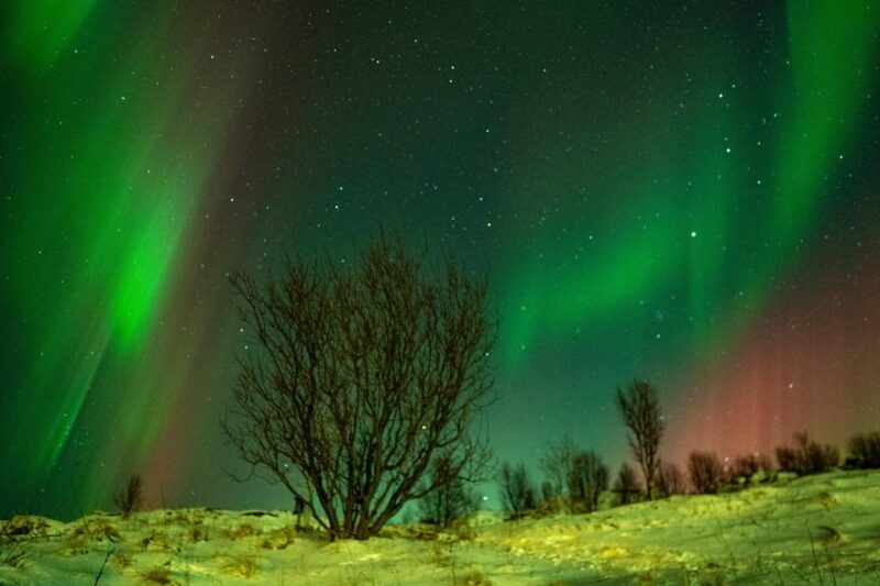 Tromsø: Small-Group Adventurous Northern Lights Hunt - Key Points