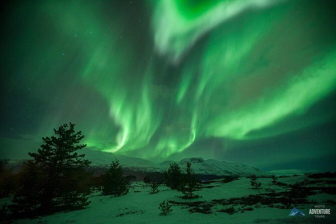 Tromsø: Small Group Northern Lights Hunt - What Do the Reviews Say?