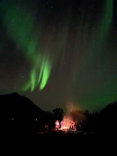 Tromsø: Small-Group Northern Lights Tour by Minibus - Bonfire Camp: Hot Drinks, Norwegian Snacks, and a Warm Meal